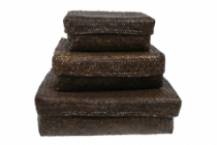 Aufbewahrungsboxen von Cozy room